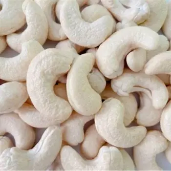 Natural W180 Cashew Nuts
